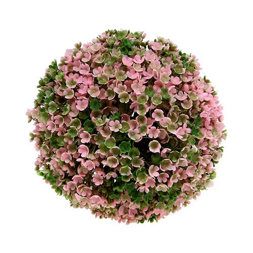 Floristik24 Decorative Ball Pink Green Ball Plant Ø15cm 1 pc