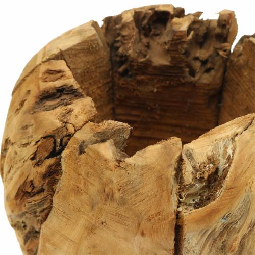 Floristik24 Flower Pot Camphor Burl Wood Ø20cm H17cm