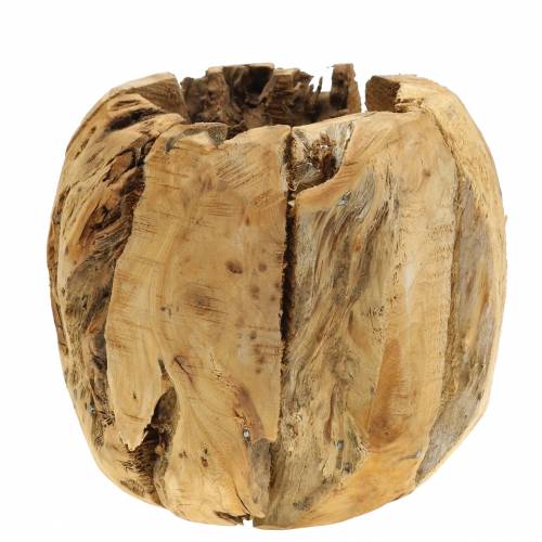 Floristik24 Flower Pot Camphor Burl Wood Ø20cm H17cm