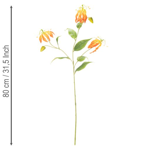 Artificial Gloriosa Flower Orange with Long Stems for Vases 80cm 3pcs | Floristik24.co.uk