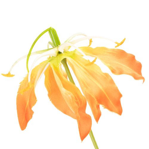 Artificial Gloriosa Flower Orange with Long Stems for Vases 80cm 3pcs | Floristik24.co.uk