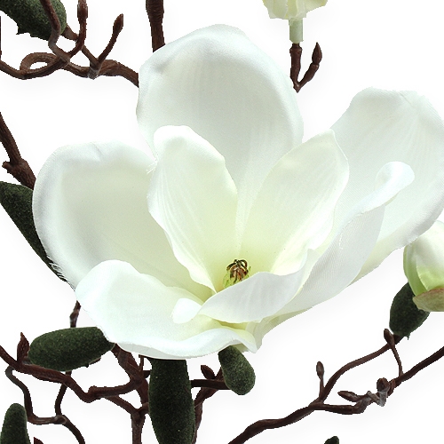 Product Magnolia branch artificial cream 90cm