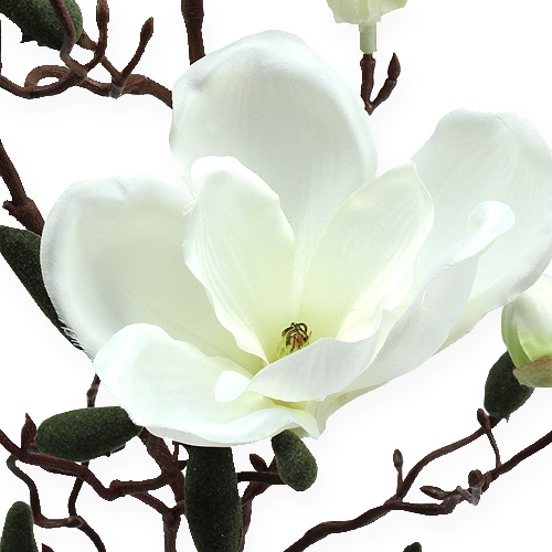 Floristik24 Magnolia branch artificial cream 90cm