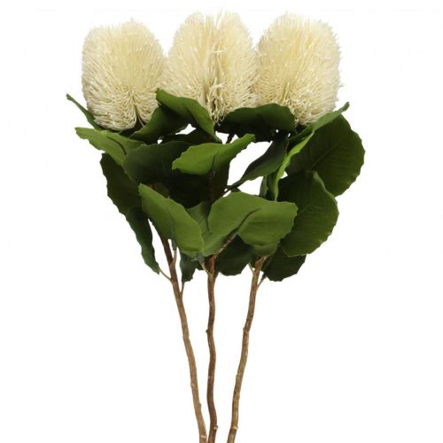 Artificial flowers, Banksia, Proteaceae Cream white L58cm H6cm 3pcs