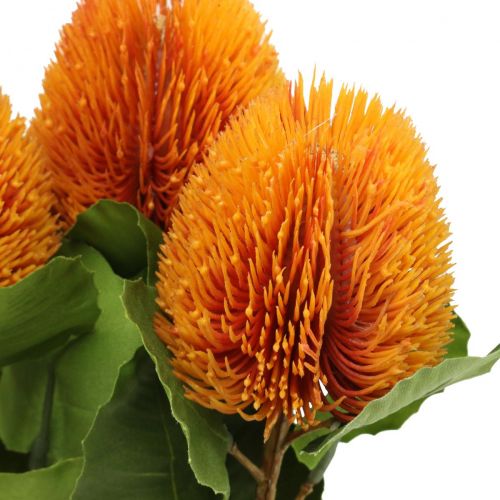 Floristik24 Artificial flowers, Banksia, Proteaceae Orange L58cm H6cm 3 pcs