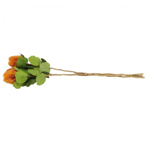 Floristik24 Artificial flowers, Banksia, Proteaceae Orange L58cm H6cm 3 pcs
