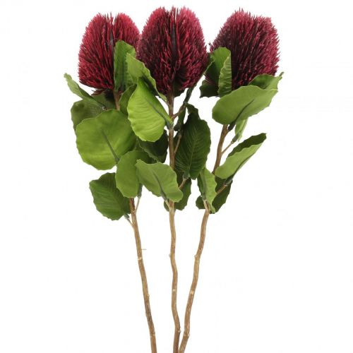 Floristik24 Artificial flowers, Banksia, Proteaceae wine red L58cm H6cm 3pcs