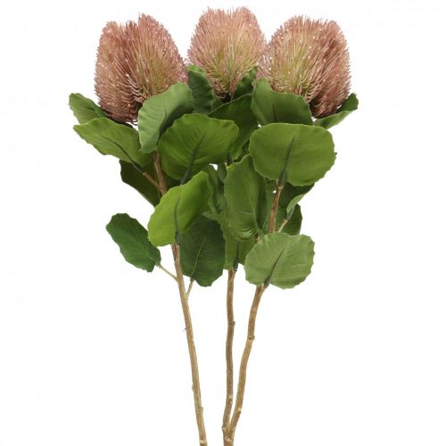 Product Artificial Flowers, Banksia, Proteaceae White-Purple L58cm H6cm