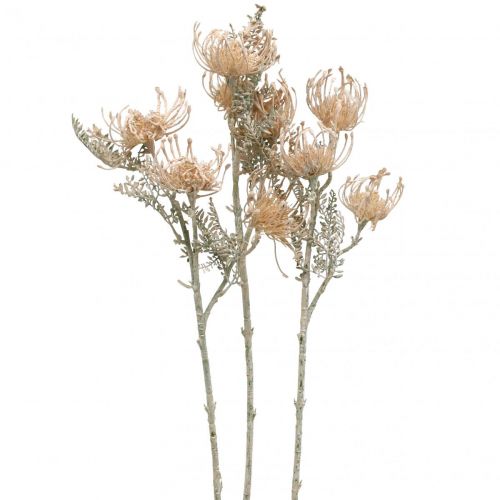 Floristik24 Artificial Flowers, Pincushion Flower, Leucospermum, Proteaceae Washed White L58cm 3pcs