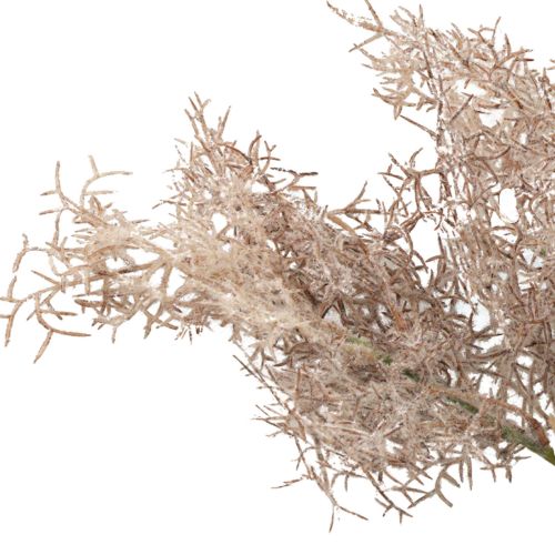 Floristik24 Artificial Flowers Decoration, Coral Branch, Decorative Branches White Brown 40cm 4 Pcs