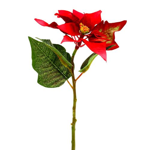 Floristik24 Artificial flowers poinsettia red L73cm
