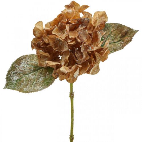 Floristik24 Artificial hydrangea dried up Drylook autumn decoration L33cm