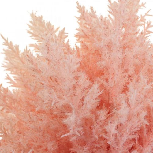 Product Artificial Astilbe deco branches artificial pink H38cm 5pcs