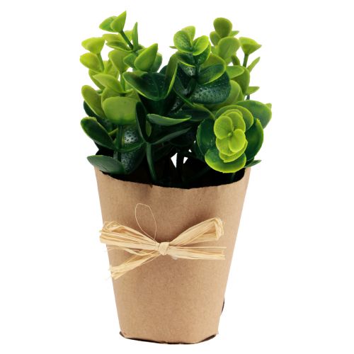 Product Artificial Plants Artificial Fern Boxwood 15-19cm 4pcs