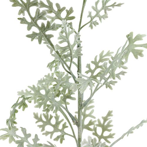 Product Artificial Plants Silver leaf white-green 40cm 6pcs