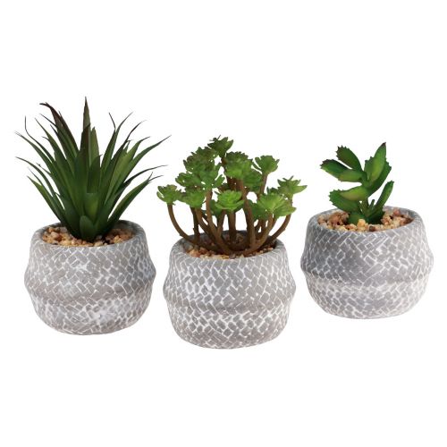 Floristik24 Artificial plants succulents artificial green plant 11-14cm 3pcs