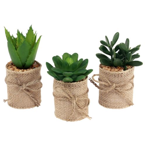 Floristik24 Artificial plants decorative succulents artificial 9.5-12.5cm 3pcs