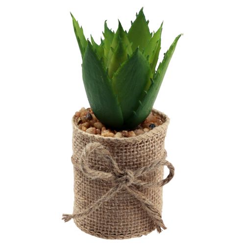 Floristik24 Artificial plants decorative succulents artificial 9.5-12.5cm 3pcs