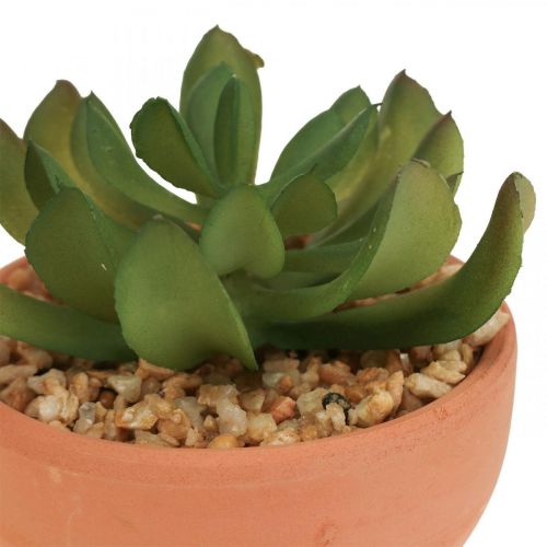 Floristik24 Artificial plants in pots artificial succulents H9cm 3pcs