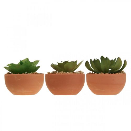 Floristik24 Artificial plants in pots artificial succulents H9cm 3pcs