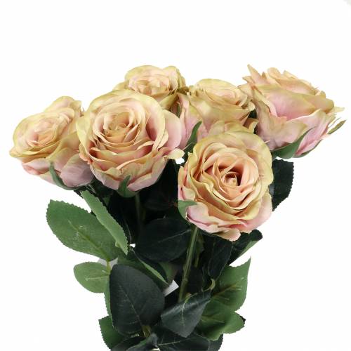 Floristik24 Art rose filled cream, pink Ø6cm L37cm 6pcs