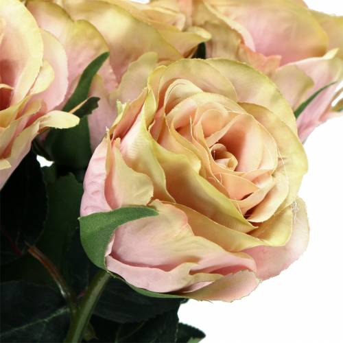Floristik24 Art rose filled cream, pink Ø6cm L37cm 6pcs