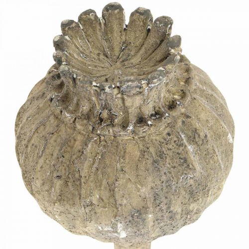 Product Artificial stone deco poppy antique deco brown Ø11cm 30cm