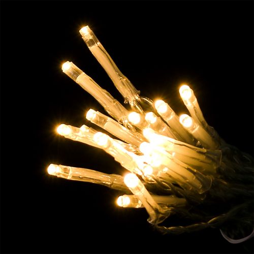 Floristik24 LED fairy lights warm white with timer 20 275cm