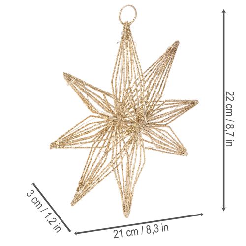 LED Wire Star Decoration with 20 Warm White LEDs, 22cm, Indoor Hanging Ornament | Floristik24.co.uk