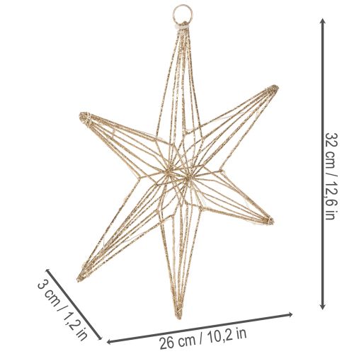 Gold Wire LED Star Decoration with Warm White Lights, 32cm, Indoor Use | Floristik24.co.uk
