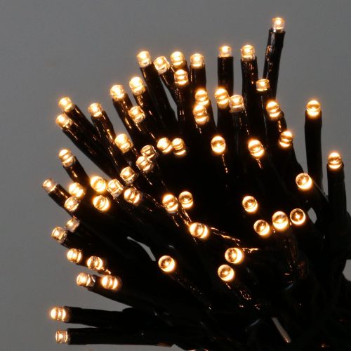 Floristik24 LED chain of lights 144 black, warm white for outside 1.2m