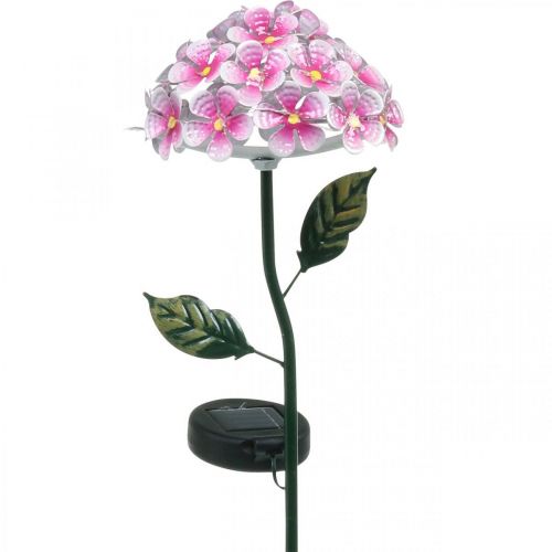 Floristik24 Solar flower, LED garden decoration, decorative chrysanthemum pink L55cm Ø15cm