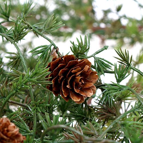 Floristik24 Larch garland green with cones 180cm