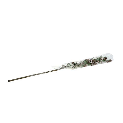 Floristik24 Larch branch with cones, snow-covered 92cm