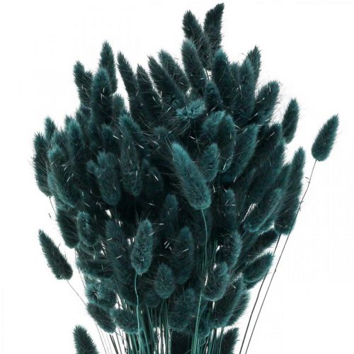Product Lagurus Dried Rabbit Tail Grass Dark Green 65-70cm 100g