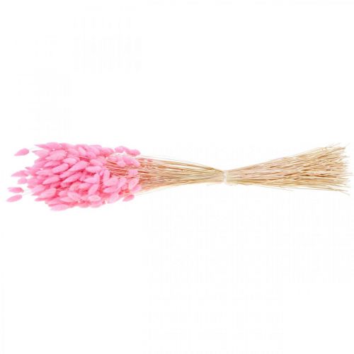 Product Lagurus Dried Hare&#39;s Tail Grass Pink 65-70cm 100g