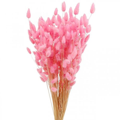 Product Lagurus Dried Hare&#39;s Tail Grass Pink 65-70cm 100g