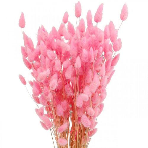 Product Lagurus Dried Hare&#39;s Tail Grass Pink 65-70cm 100g