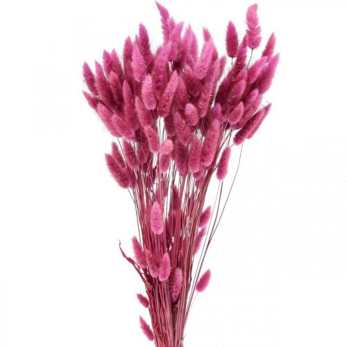 Product Lagurus Dried Rabbit Tail Grass Purple 65-70cm 100g