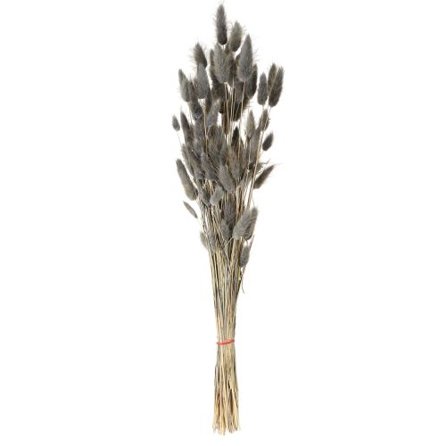 Product Lagurus Dried Hare's Tail Grass Grey 45-55cm 50g