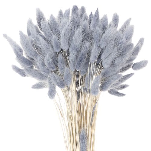 Floristik24 Dried Lagurus (Hare's Tail Grass) Grey for Dried Flower Bouquets 60cm 75g
