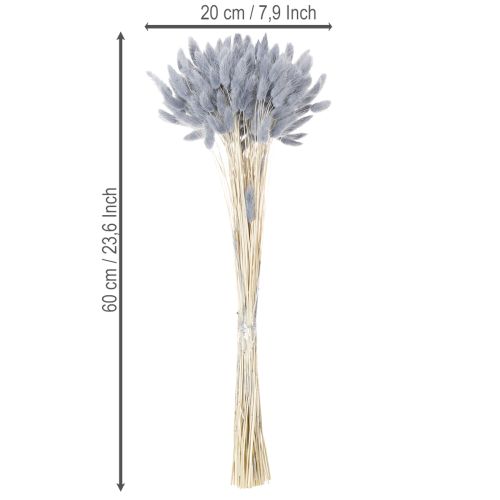 Product Dried Lagurus (Hare's Tail Grass) Grey for Dried Flower Bouquets 60cm 75g