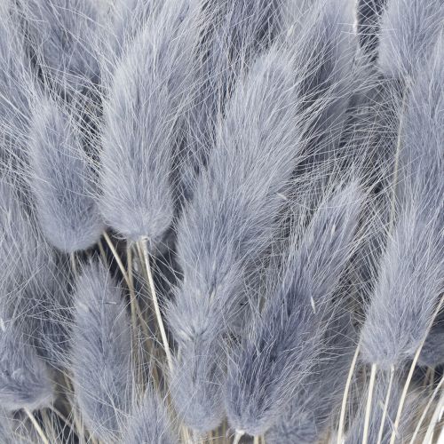 Product Dried Lagurus (Hare's Tail Grass) Grey for Dried Flower Bouquets 60cm 75g