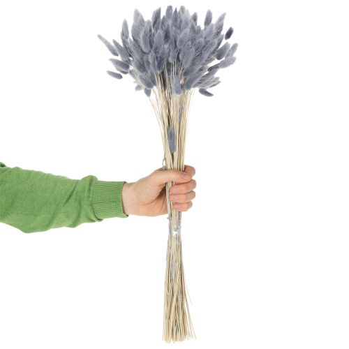 Product Dried Lagurus (Hare's Tail Grass) Grey for Dried Flower Bouquets 60cm 75g