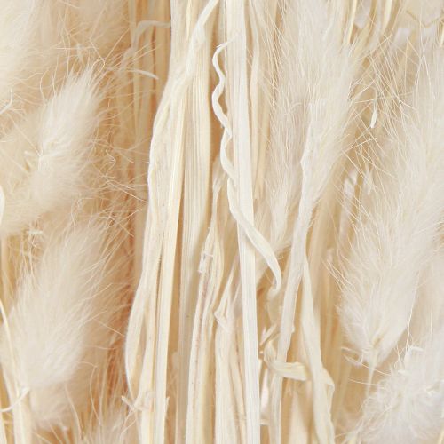 Product Dried Flowers Lagurus ovatus Hare's Tail Cream 55-70cm 100g