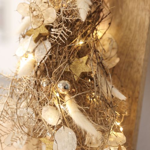 Dried Flowers Lagurus ovatus Hare's Tail Cream 55-70cm 100g | Floristik24.co.uk