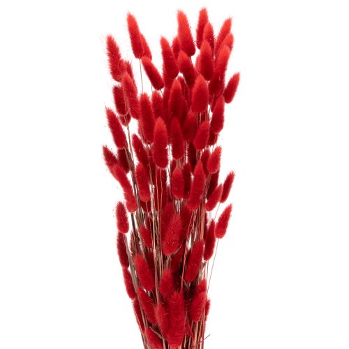 Red Dried Lagurus Bouquet 70cm 100g for Indoor Decoration