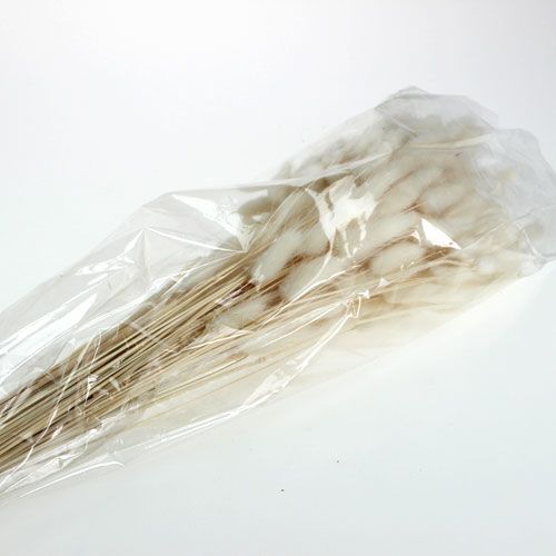Floristik24 Deco Grass White Lagurus 100g