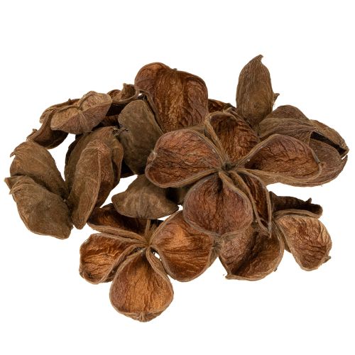 Product Landlotus Nature 50 pcs