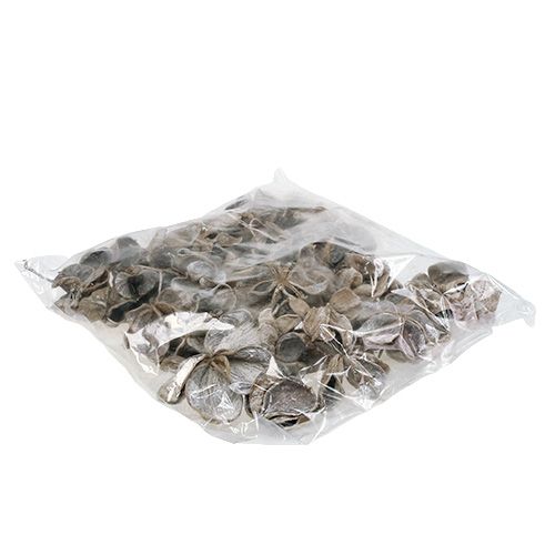Product Landlotus White washed 6-12cm 50 pcs